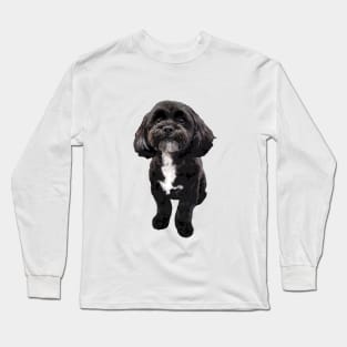 Shih Tzu Black Cute Puppy Dog Long Sleeve T-Shirt